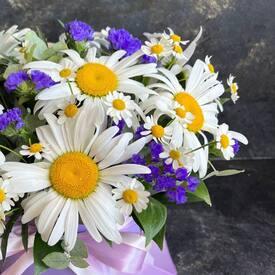 Композиция из 9 ромашек и танацетума в коробке 