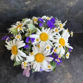 Композиция из 9 ромашек и танацетума в коробке 