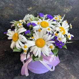 Композиция из 9 ромашек и танацетума в коробке 