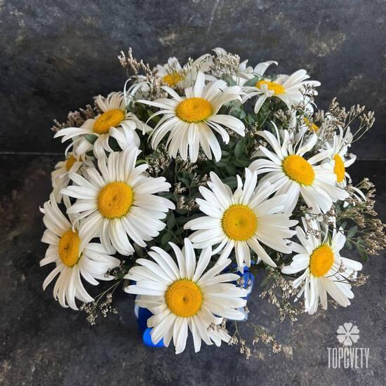 Букет из 11 ромашек в коробке