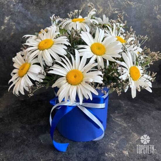 Букет из 11 ромашек в коробке