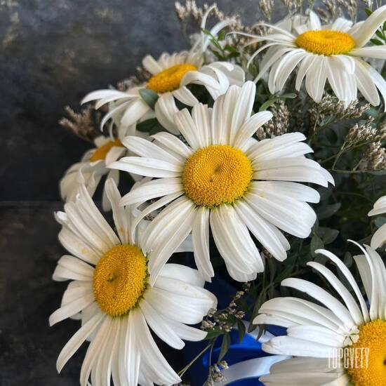 Букет из 11 ромашек в коробке