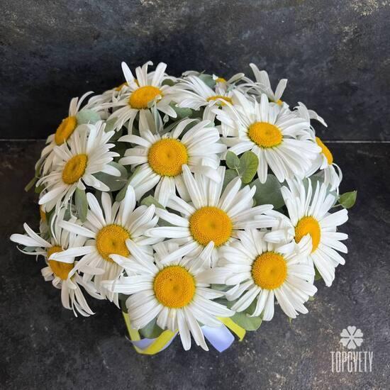 Букет из 15 ромашек в коробке 
