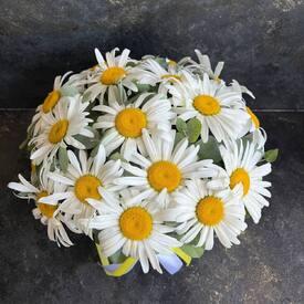 Букет из 15 ромашек в коробке 