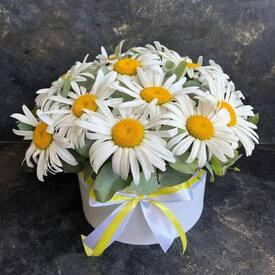 Букет из 15 ромашек в коробке 