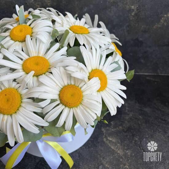 Букет из 15 ромашек в коробке 