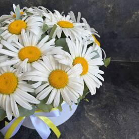 Букет из 15 ромашек в коробке 
