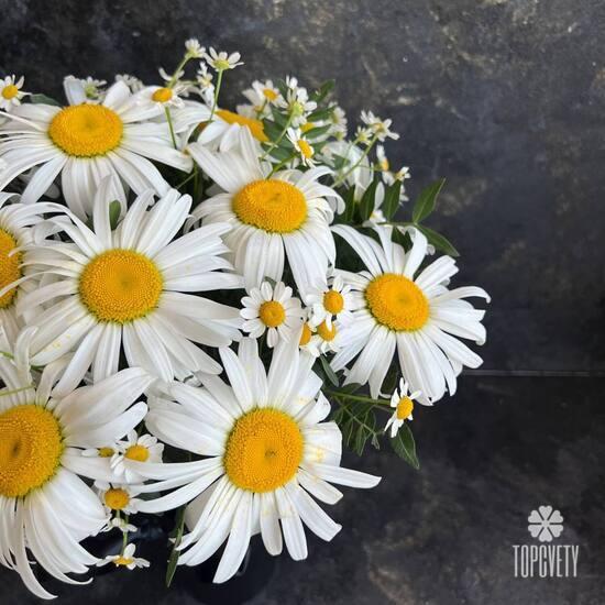 Букет из 19 ромашек в коробке