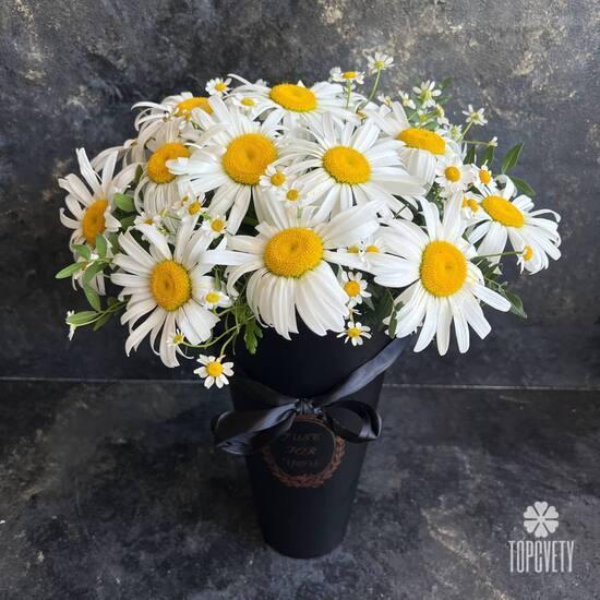 Букет из 19 ромашек в коробке
