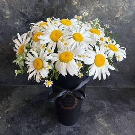 Букет из 19 ромашек в коробке