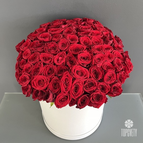 Композиция из 75 красных роз в коробке