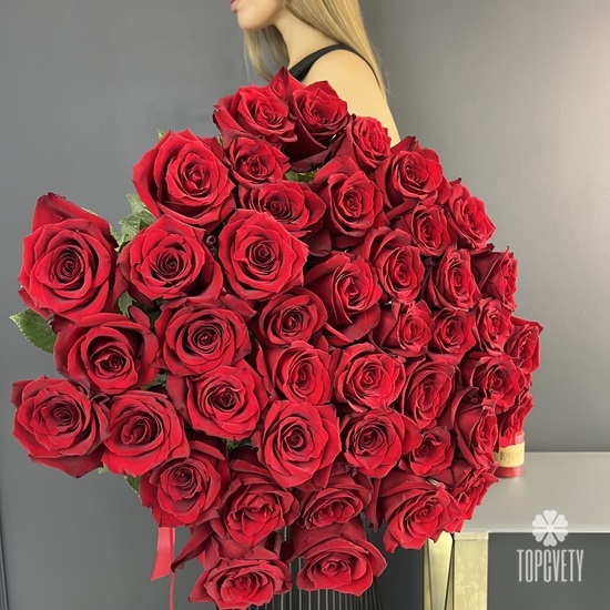 Букет из 51 красной розы Эксплорер 70см