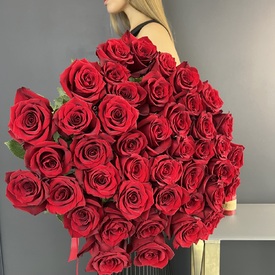 Букет из 51 красной розы Эксплорер 70см