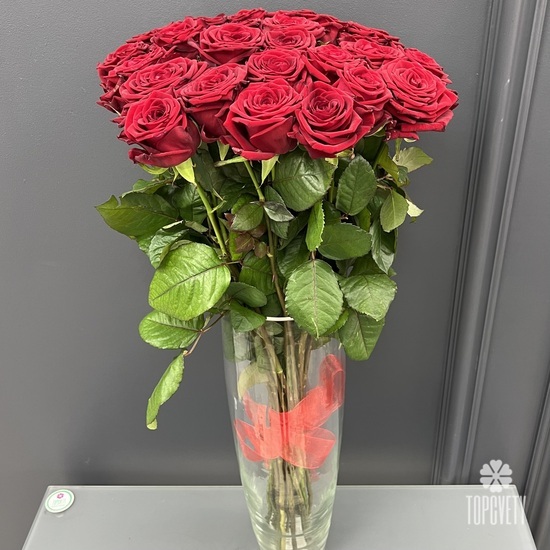 Букет из 25 красных роз 70см под лентой 