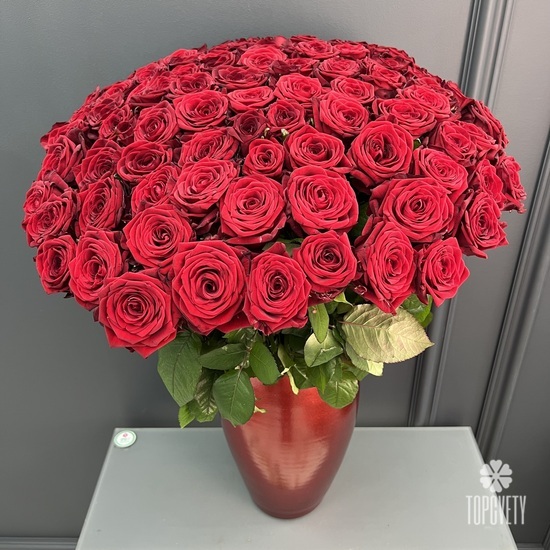 Букет из 101 красной розы под лентой