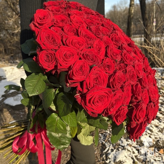 Букет из 101 красной розы 80см