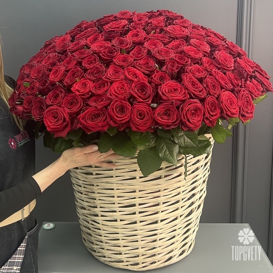 135 красных роз в корзине