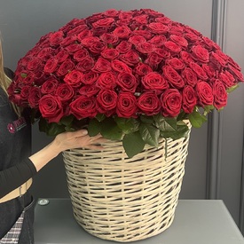 135 красных роз в корзине
