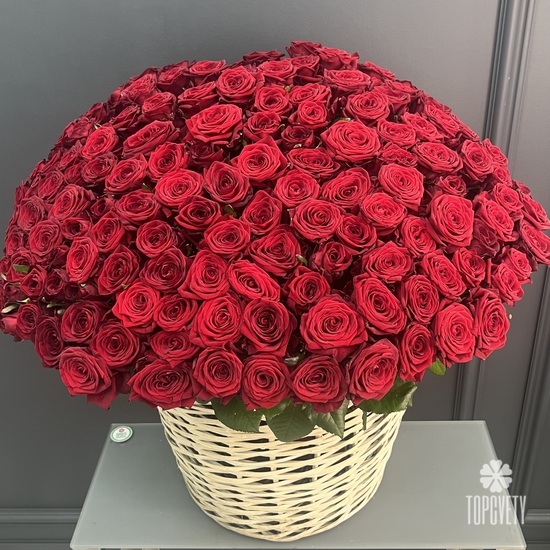 135 красных роз в корзине