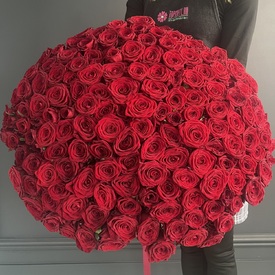 Букет из 151 красной розы 80см