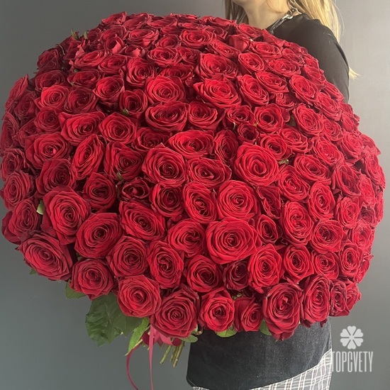 Букет из 151 красной розы 80см