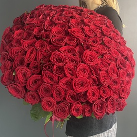 Букет из 151 красной розы 80см