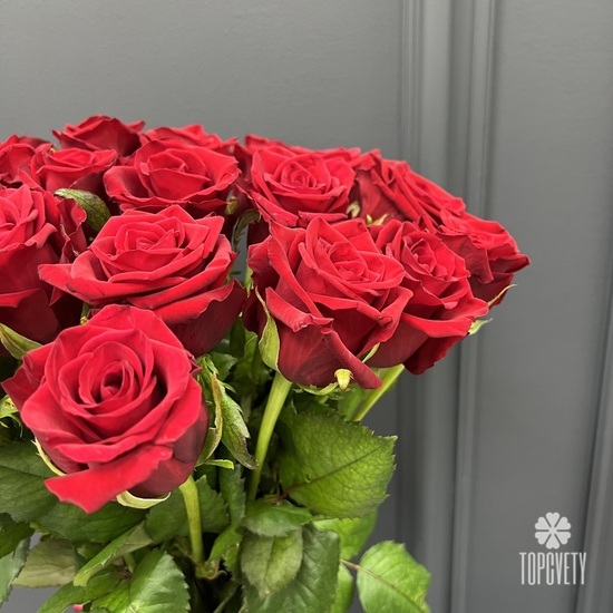 Букет из 25 красных роз Ред Наоми 60см