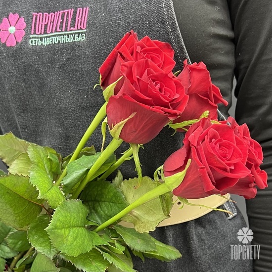 Букет из 5 красных роз Ред Наоми 60см