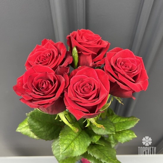 Букет из 5 красных роз Ред Наоми 60см