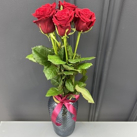 Букет из 5 красных роз Ред Наоми 60см
