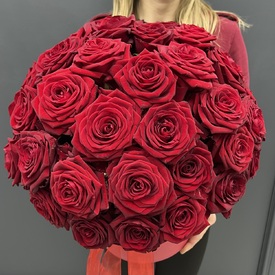 51 красная роза в коробке