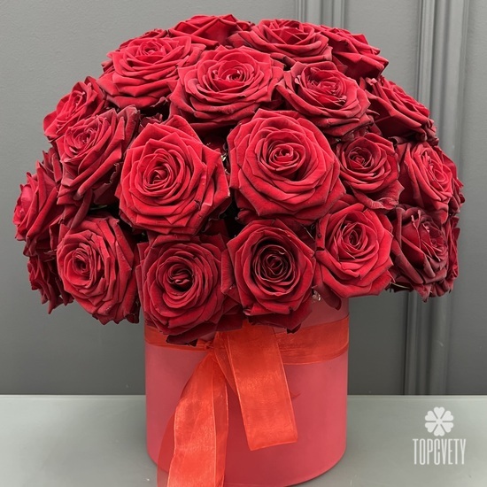 51 красная роза в коробке
