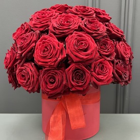 51 красная роза в коробке