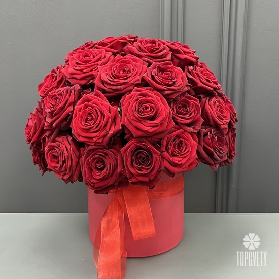 51 красная роза в коробке