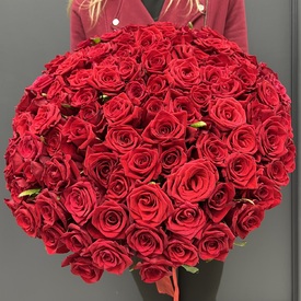 Букет из 101 красной розы 50см