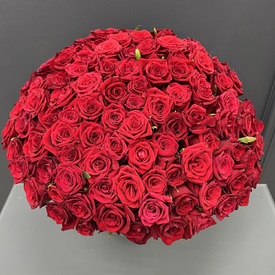 Букет из 101 красной розы 50см