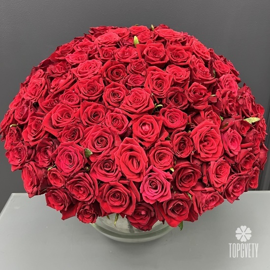 Букет из 101 красной розы 50см
