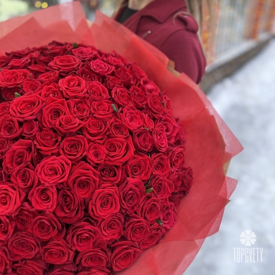 Букет из 131 красной розы 50см