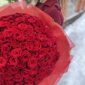 Букет из 131 красной розы 50см