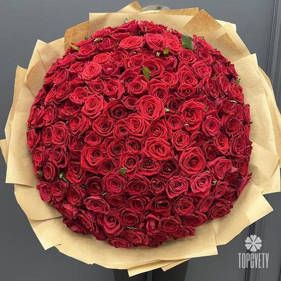 Букет из 151 красной розы 