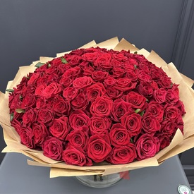 Букет из 151 красной розы 