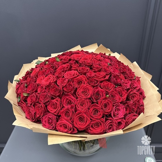 Букет из 151 красной розы 