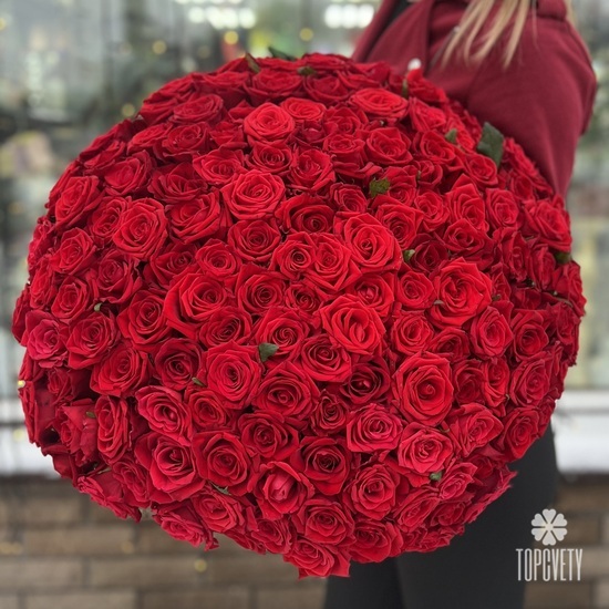 Букет из 151 красной розы Ред Наоми 60см