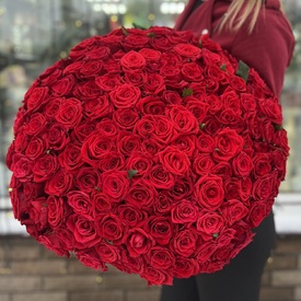 Букет из 151 красной розы Ред Наоми 60см