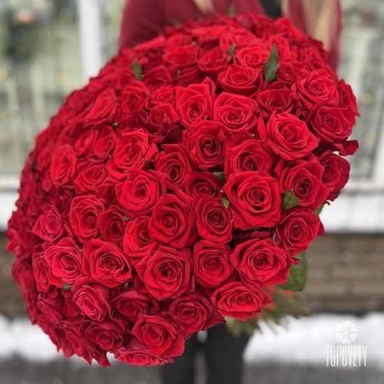 Букет из 151 красной розы Ред Наоми 60см