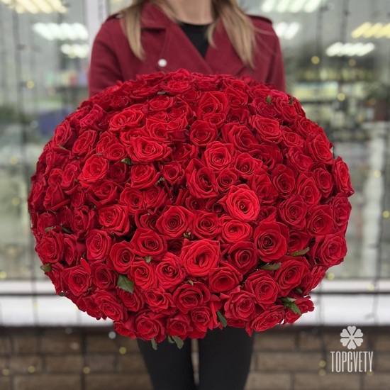 Букет из 151 красной розы Ред Наоми 60см