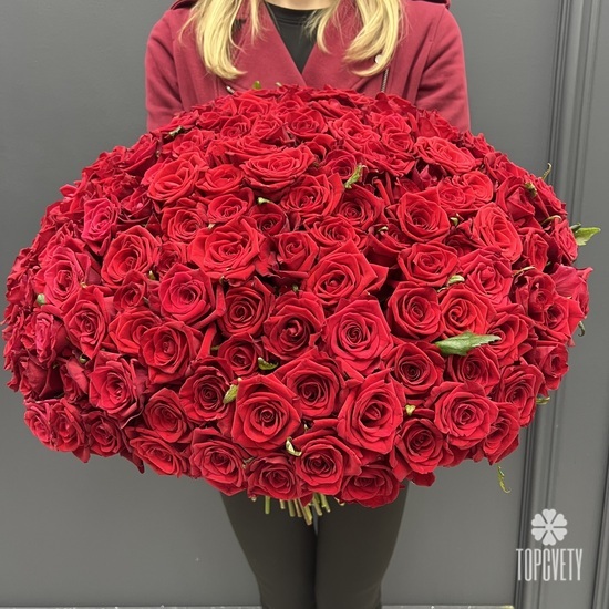 Букет из 101 красной розы Гран При 50см