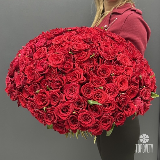 Букет из 101 красной розы Гран При 50см