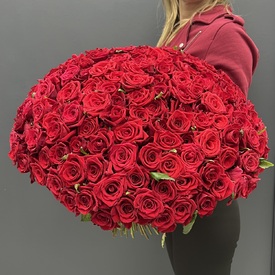 Букет из 101 красной розы Гран При 50см