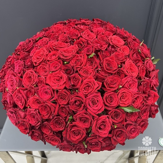 Букет из 101 красной розы Гран При 50см